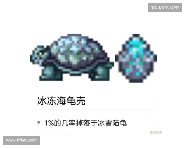 武魂玄冰加点技巧平衡输出与防御策略全面解析 武魂玄冰加点技巧平衡输出与防御策略全面解析