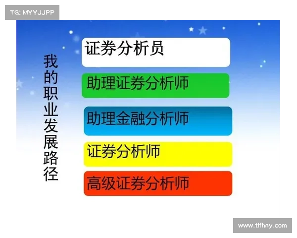 提升职场竞争力的工程师技能加点攻略与成长路径分析