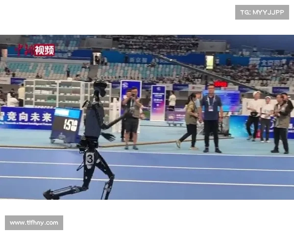 2025年欧会杯决赛时间和地点全解析详细指南