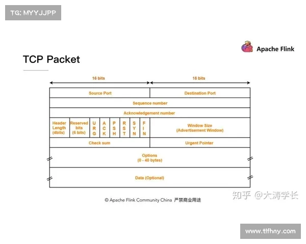 全面解读欧协联决赛关键规则与赛场决胜机制剖析全景深度解析篇章