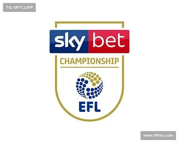 揭秘英冠为何被视为假象赛事背后的真实原因与深层解析