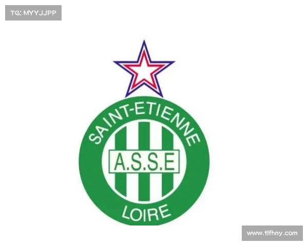 法甲冠军标志深度解析及其正确使用方法详解 法甲冠军标志深度解析及其正确使用方法详解